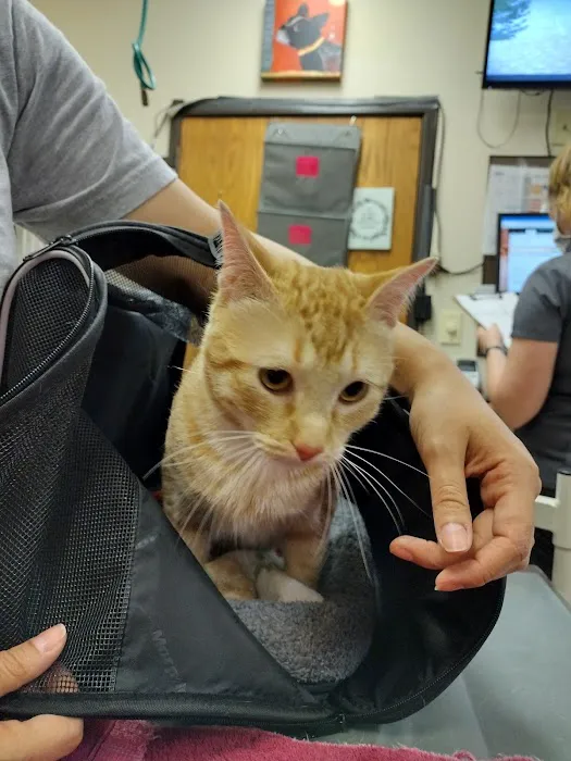 Love Freeway Animal Clinic Picture 2