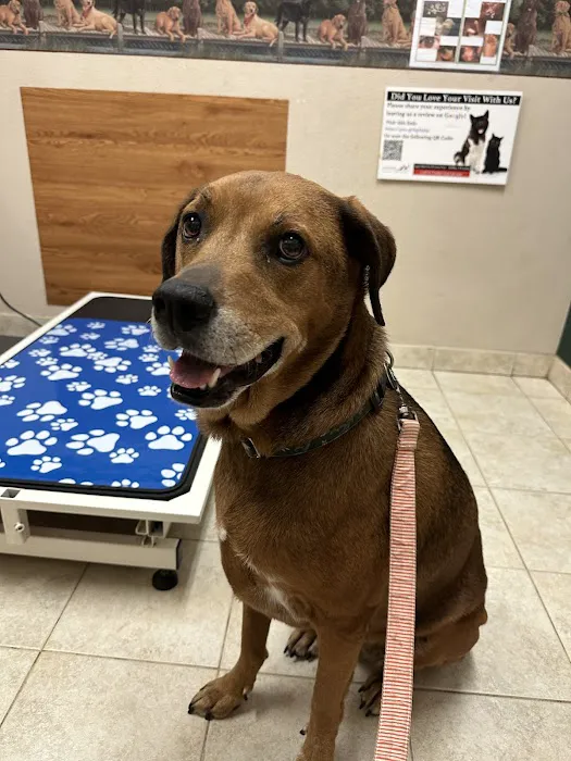 Love Freeway Animal Clinic Picture 6