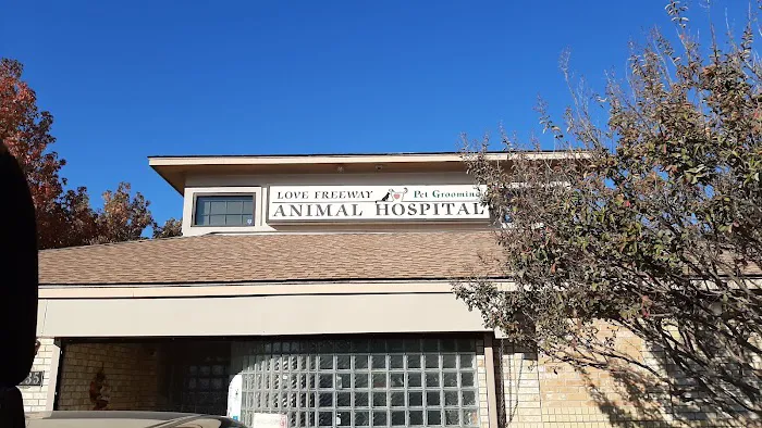 Love Freeway Animal Clinic Picture 4