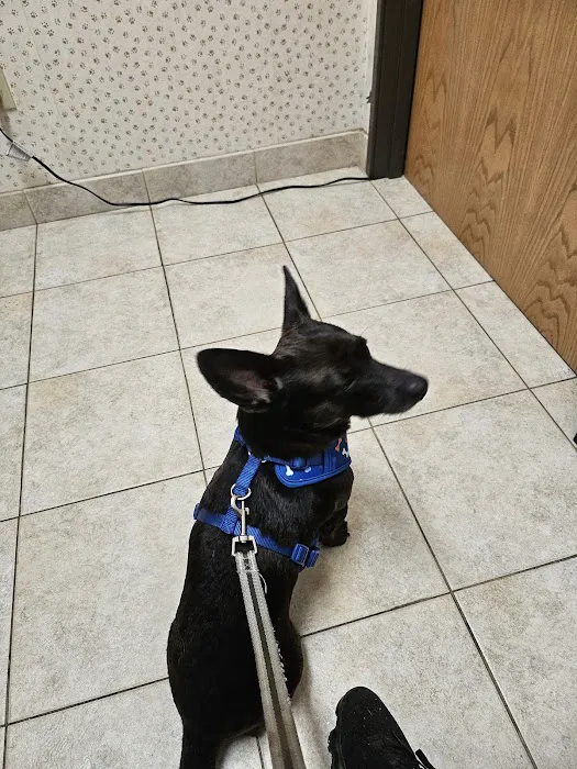 Love Freeway Animal Clinic Picture 5