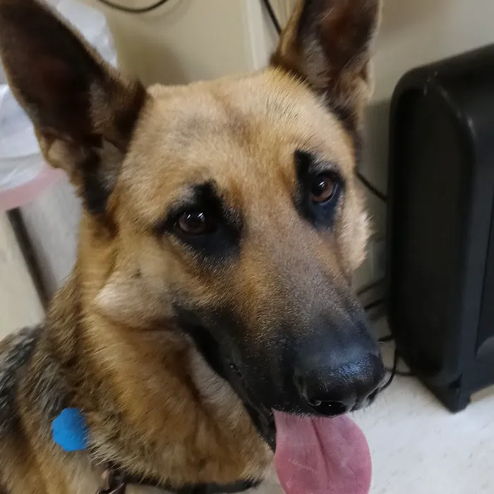 Love Freeway Animal Clinic Picture 10