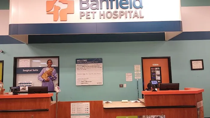 Banfield Pet Hospital Picture 10
