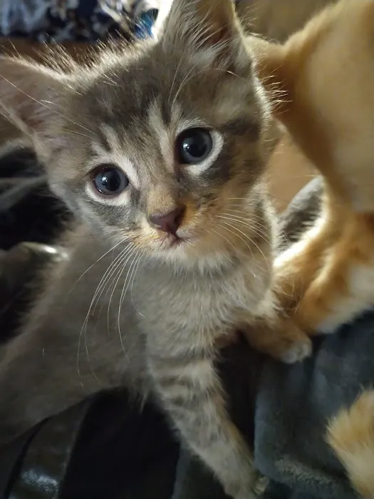 Banfield Pet Hospital Picture 6
