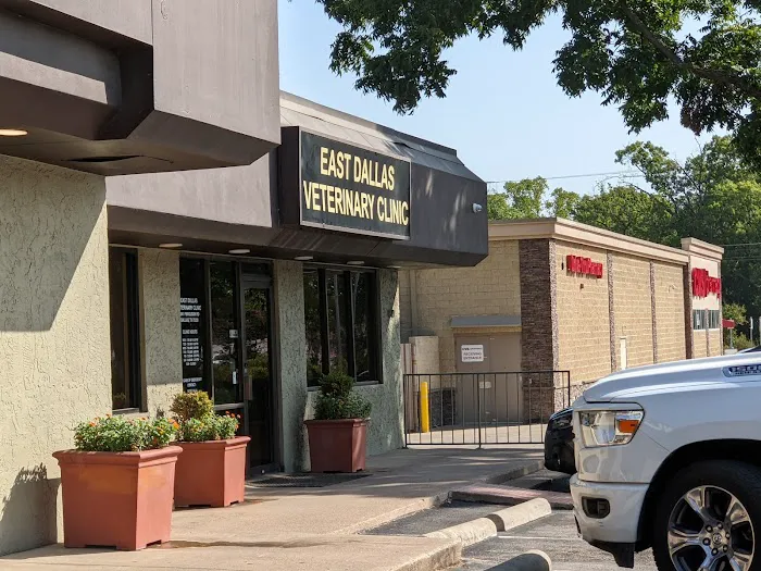 East Dallas Veterinary Clinic Picture 2