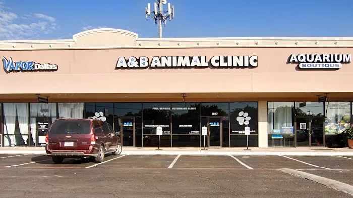 A&B Animal Clinic Picture 2