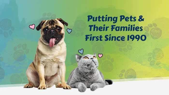 A&B Animal Clinic Picture 3