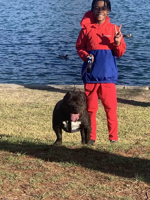 A&B Animal Clinic Picture 4