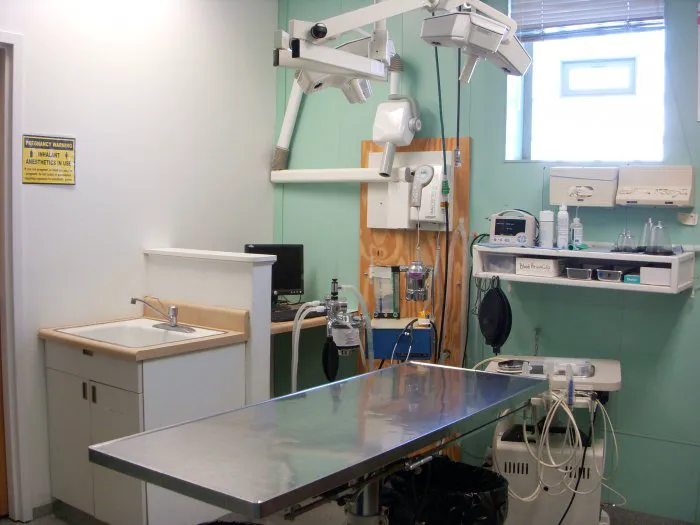 VCA Beech Road Animal Hospital Picture 3