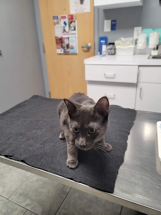 VCA Beech Road Animal Hospital Picture 5