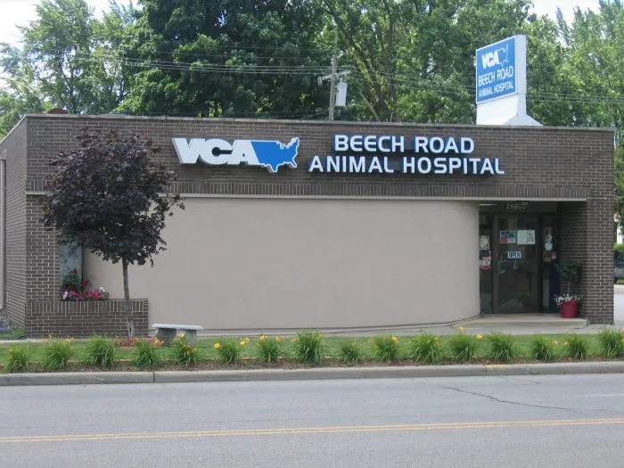 VCA Beech Road Animal Hospital Picture 8