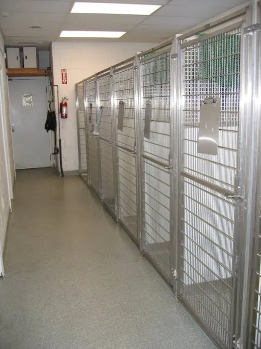 VCA Beech Road Animal Hospital Picture 9