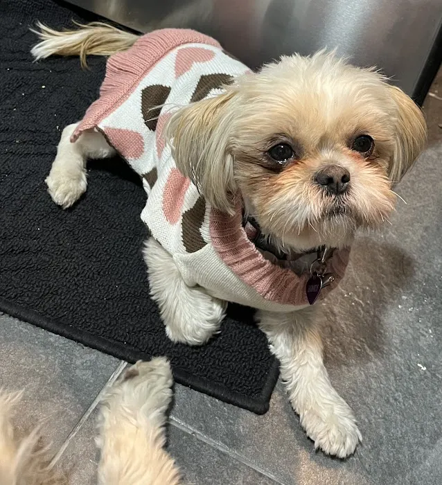 Five Mile Animal Hospital Picture 4