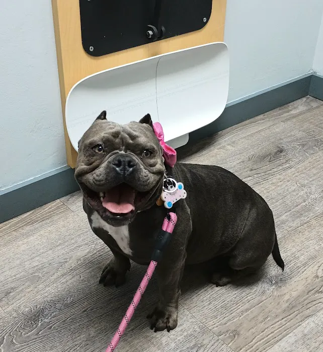 Five Mile Animal Hospital Picture 7