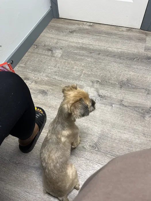 Five Mile Animal Hospital Picture 5