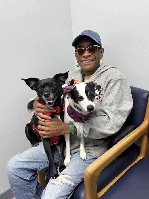 Five Mile Animal Hospital Picture 6