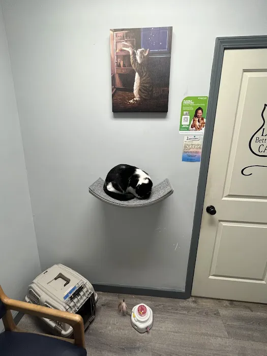 Five Mile Animal Hospital Picture 9