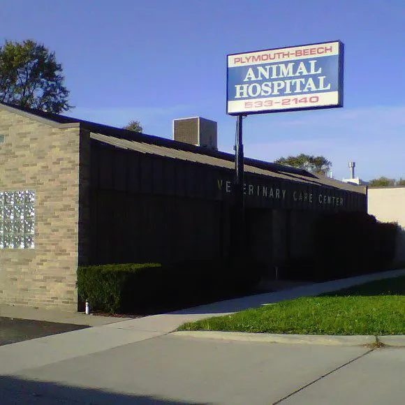 Plymouth Beech Animal Hospital Picture 8