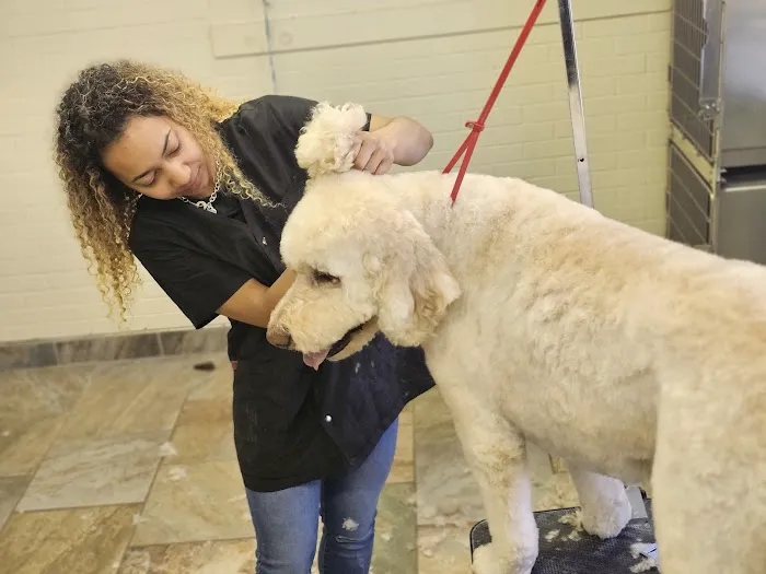 Plymouth Beech Animal Hospital Picture 9