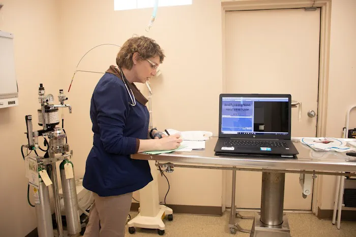 Ford Caputo Veterinary Hospital Picture 2