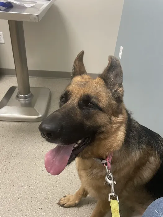 Ford Caputo Veterinary Hospital Picture 1