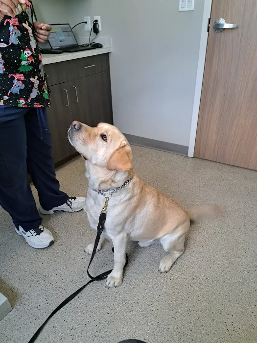 Ford Caputo Veterinary Hospital Picture 6