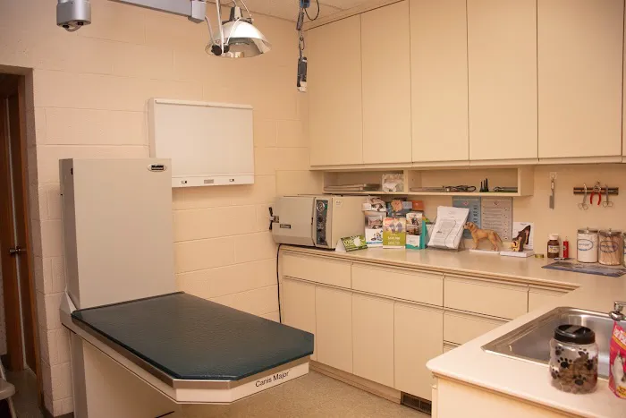 Ford Caputo Veterinary Hospital Picture 8