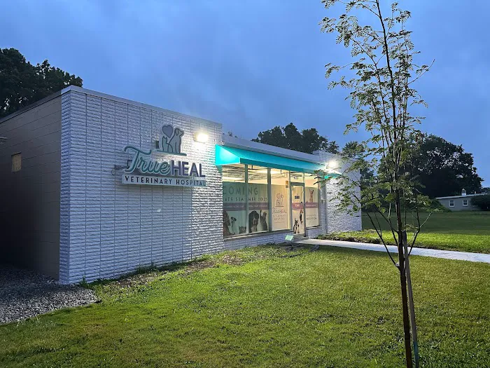 TrueHeal Veterinary Hospital Picture 3