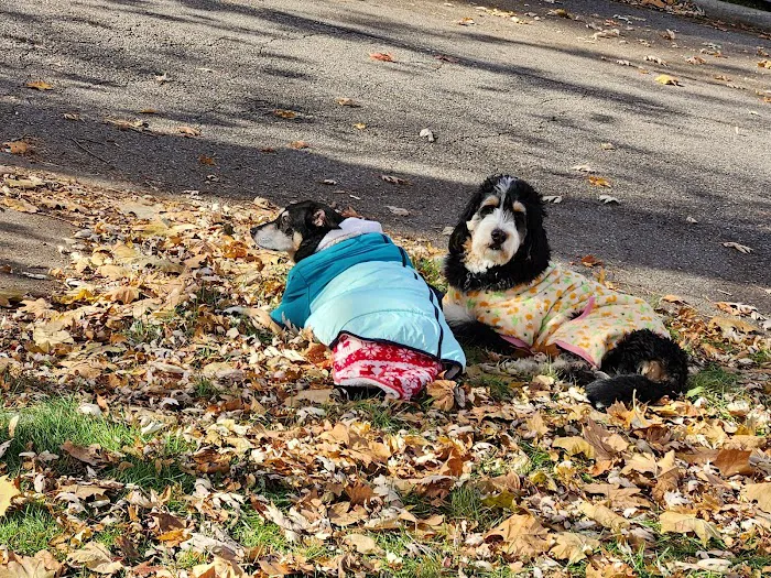 TrueHeal Veterinary Hospital Picture 5