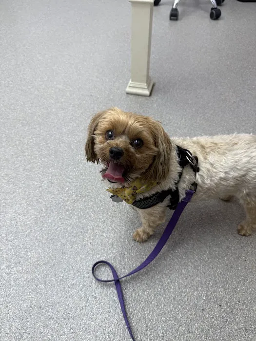 TrueHeal Veterinary Hospital Picture 9