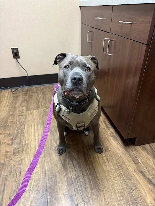 Warren Woods Veterinary Hospital Picture 8