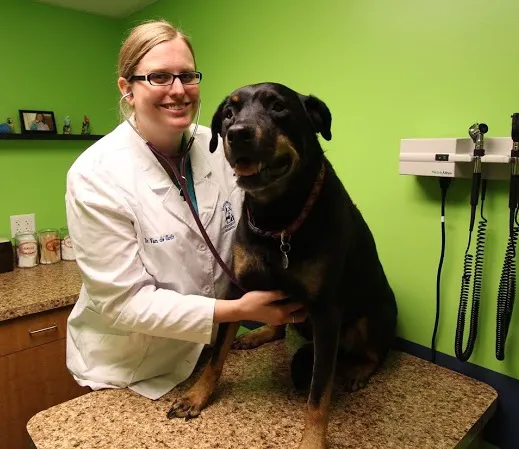Warren Woods Veterinary Hospital Picture 9