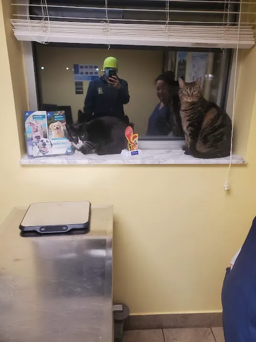 Hoover Road Animal Hospital Picture 8