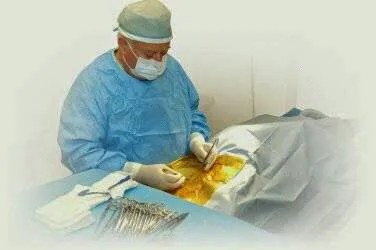 Warren Animal Clinic Picture 1