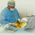 Warren Animal Clinic