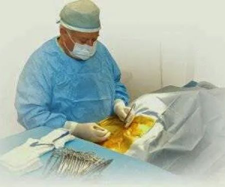 Warren Animal Clinic