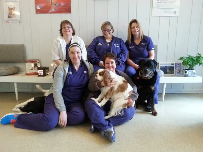 VetSelect Animal Hospital of Dearborn Heights Picture 2