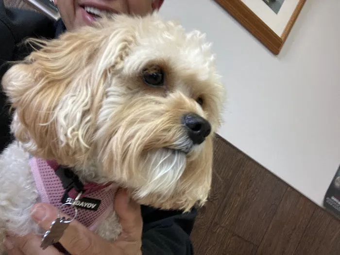 North Suburban Veterinary Hospital Picture 1