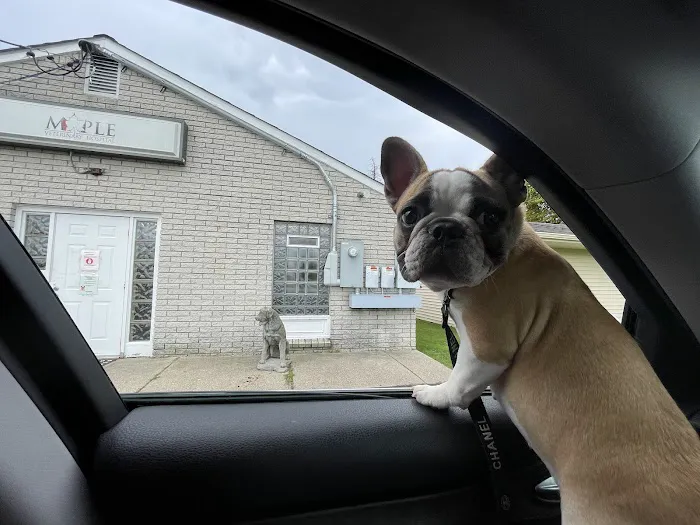 Maple Veterinary Hospital Picture 1
