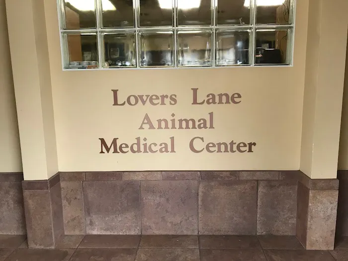 VCA Lovers Lane Animal Hospital Picture 8