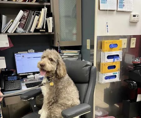 VCA Park Cities Animal Hospital
