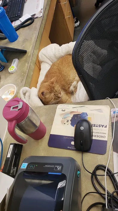 VCA Park Cities Animal Hospital Picture 10