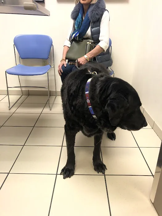 VCA Park Cities Animal Hospital Picture 5