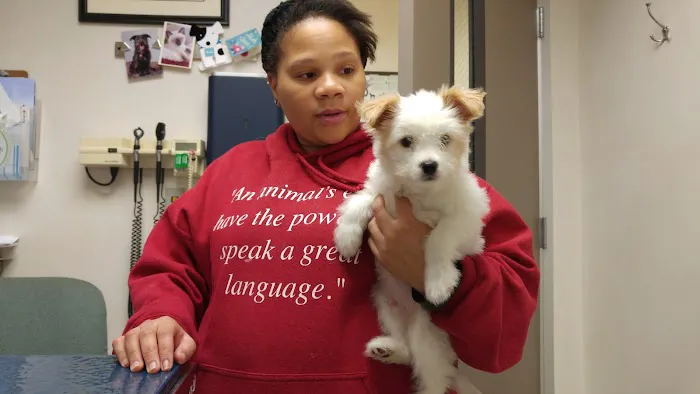 VCA Park Cities Animal Hospital Picture 4