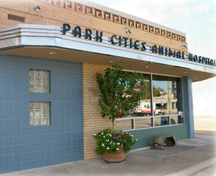 VCA Park Cities Animal Hospital Picture 2