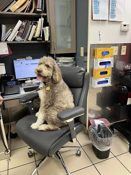 VCA Park Cities Animal Hospital Picture 3