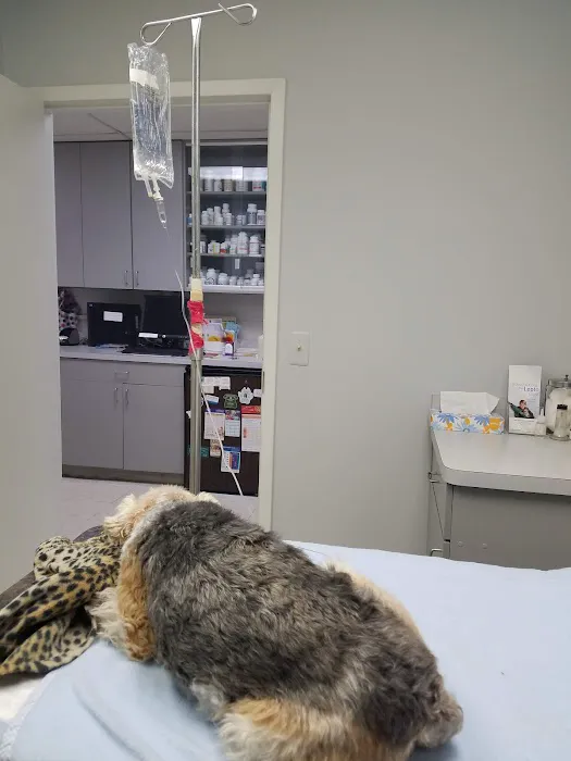 Dine Veterinary Hospital Picture 5