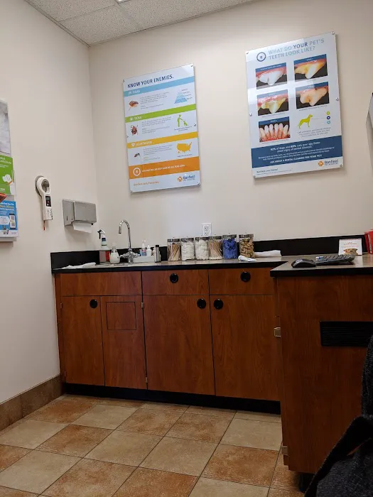 Banfield Pet Hospital Picture 7