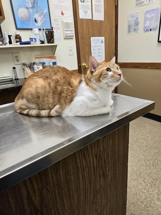 Nucci Veterinary Clinic Picture 9