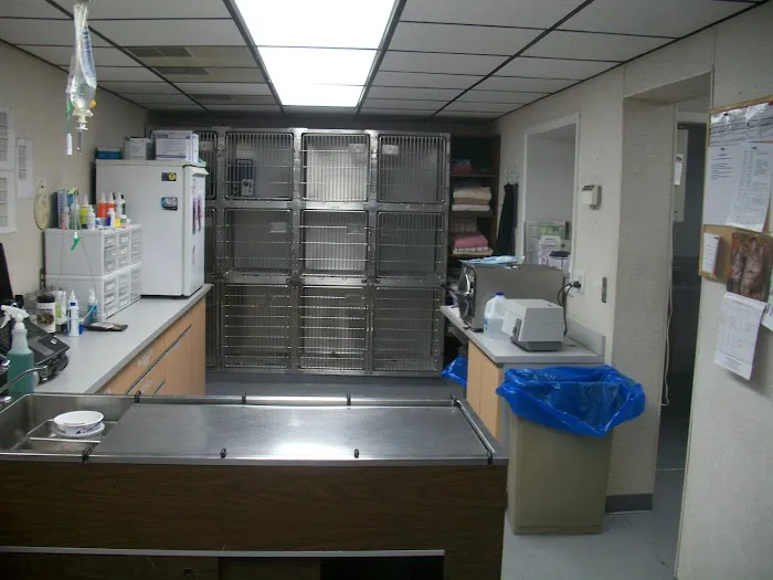 Sharp Animal Hospital Picture 6