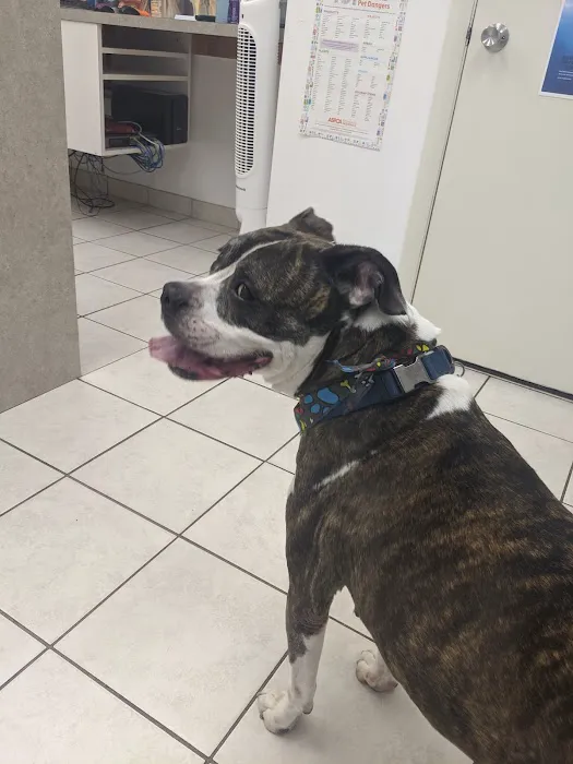 Sharp Animal Hospital Picture 5